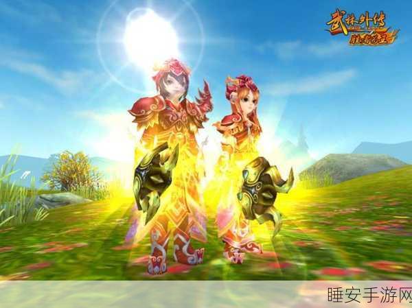 武林外传深度攻略,揭秘幽灵船里应外合任务全攻略