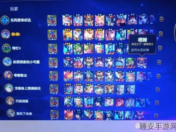 深空之眼,冥王顶尖配队策略揭秘,征服虚空的最强组合与实战精髓