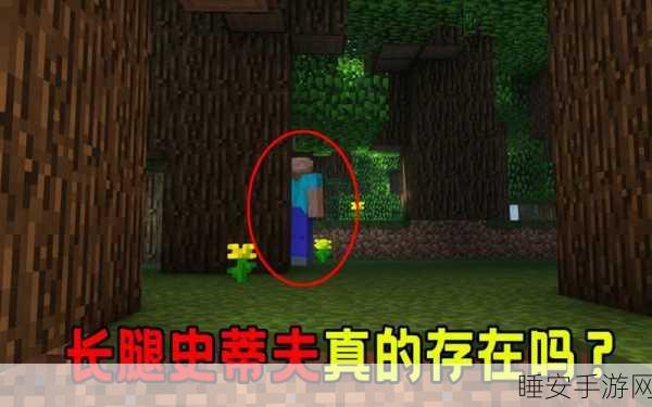 探秘我的世界,揭秘那些鲜为人知的都市传说与隐藏彩蛋