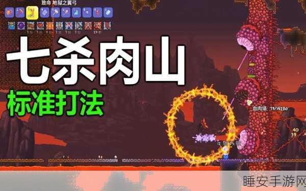 泰拉瑞亚深度解析,揭秘肉山召唤的必备条件与攻略