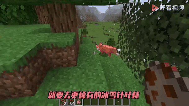 我的世界新增萌宠,揭秘狐狸的独特特性与生存竞技中的重要性
