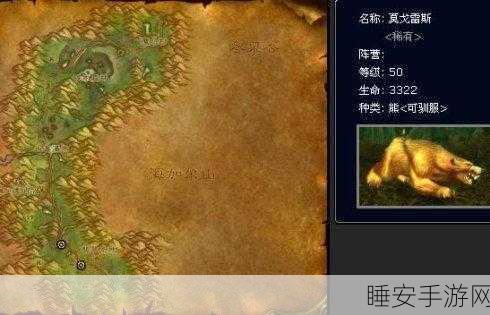 魔兽世界TBC怀旧服,猎人稀有宠物捕捉全攻略,揭秘专属稀有宠数量与栖息地