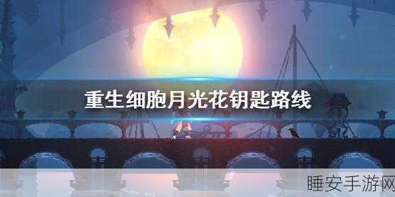 重生细胞，解锁月光钥匙的秘密通道，探索白花钥匙的奇妙冒险