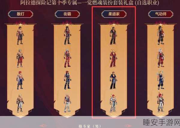 DNF柔道高手必备,揭秘顶级武器选择与战斗技巧