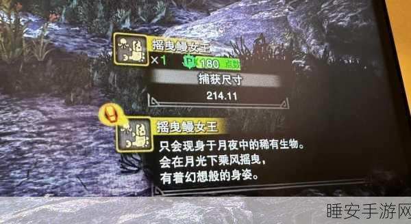 怪物猎人P2G，深度解析捕获难题与高效攻略