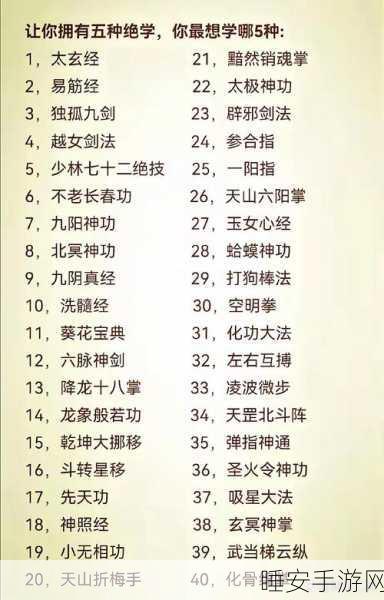 烟雨江湖,拳法秘籍大揭秘,称霸武林的终极攻略