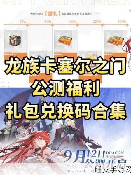 龙族幻想激活码全攻略,独家揭秘获取途径与高效使用技巧,赢取限量豪礼!