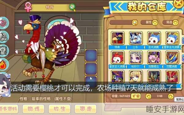 洛克王国深度攻略,揭秘龟仙隐者挑战赛的制胜技巧