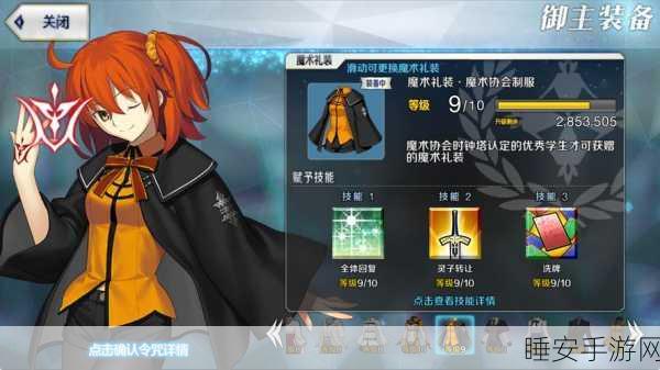 手游攻略，命运冠位指定深度攻略——从者高效进阶与培养秘籍