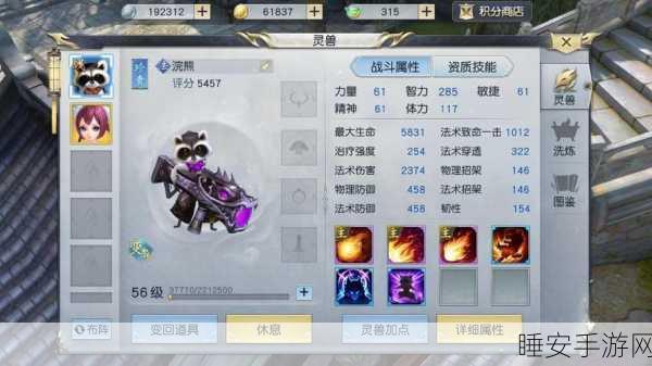 镇魔曲圣修龙灵伴侣选择指南,解锁最强战斗组合!