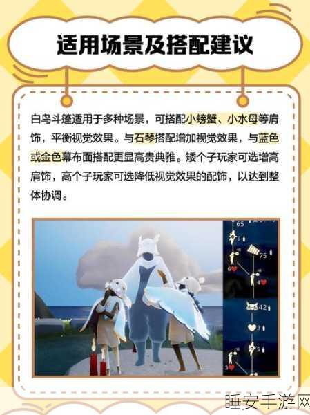 光遇白鸟斗篷终极攻略,资源优化与价值最大化秘籍