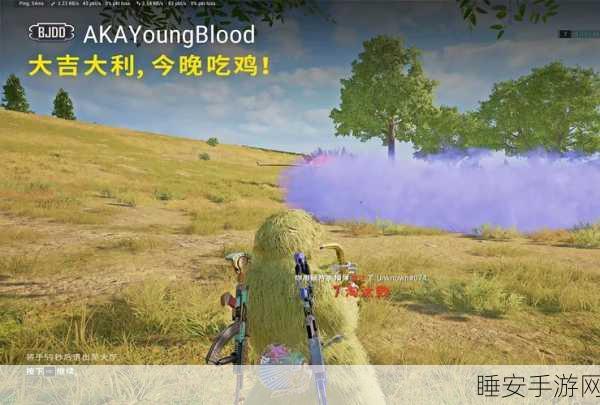 绝地求生亚服正版手游下载，虚拟战场的大逃杀盛宴，细节揭秘！
