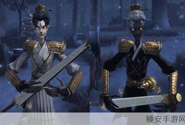 揭秘第五人格黑白无常,深度探索神秘角色的双面魅力与比赛策略