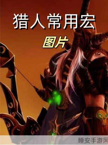 魔兽世界猎人宏设置全攻略,优化你的狩猎体验
