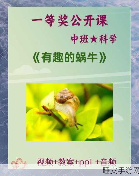 探秘最强蜗牛,时光机的奇妙功能与深度解析