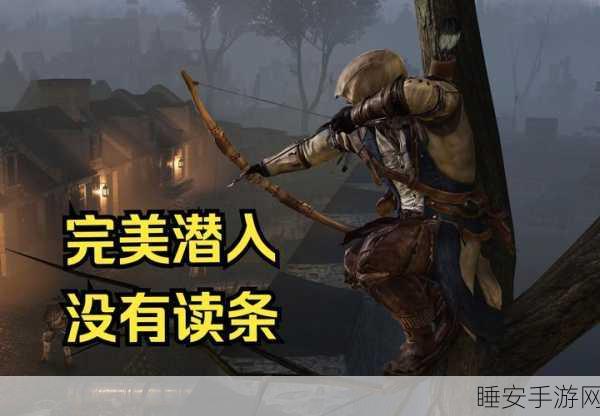 刺客信条3深度攻略,揭秘双重暗杀任务的绝密技巧
