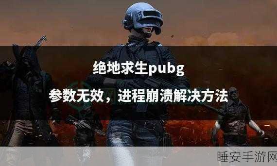 绝地求生游戏崩溃急救指南,快速恢复战斗状态