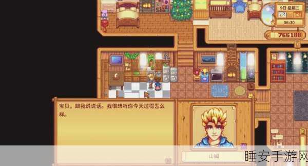 星露谷物语，探寻最佳妻子的甜蜜之旅