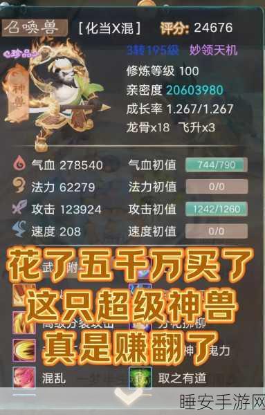 大话西游手游,坐骑驯养与技能洗炼全攻略,打造专属神兽!