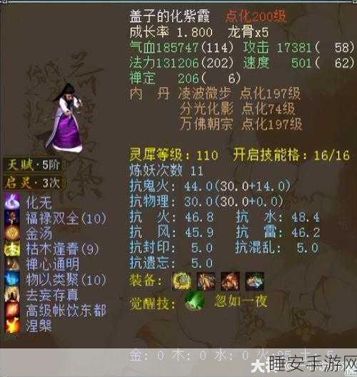 大话西游手游,坐骑驯养与技能洗炼全攻略,打造专属神兽!