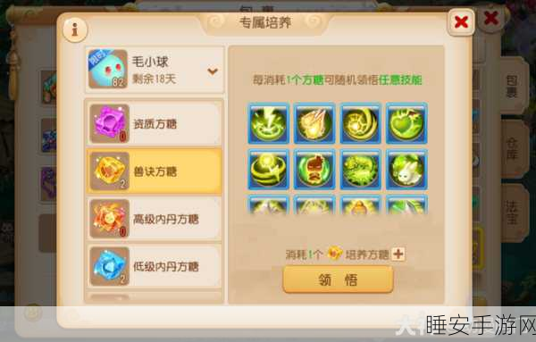 梦幻西游手游,全面揭秘毛小球高效捕捉策略与技巧