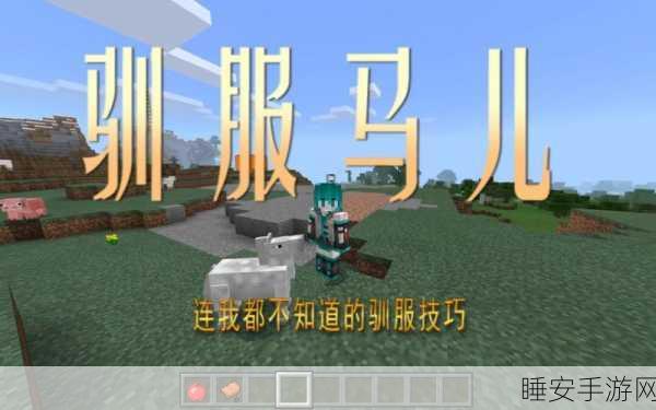 我的世界马鞍安装全攻略,打造你的专属坐骑之旅