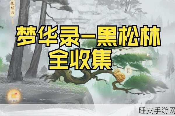 射雕手游梦华录,黑松林珍稀宝藏全攻略,解锁隐藏关卡秘籍
