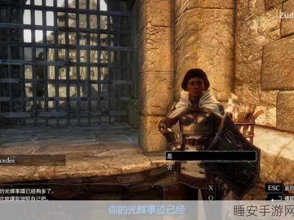 龙之信条黑暗觉者,掌握优先任务设置,征服黑暗世界的秘诀