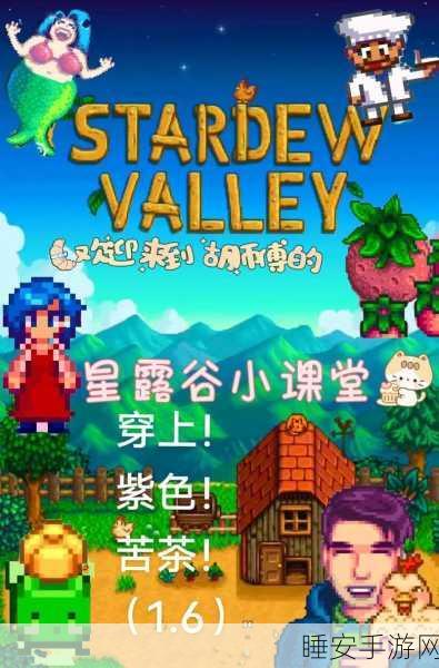 星露谷物语,揭秘玛鲁10心剧情,解锁科学少女的甜蜜爱恋全攻略