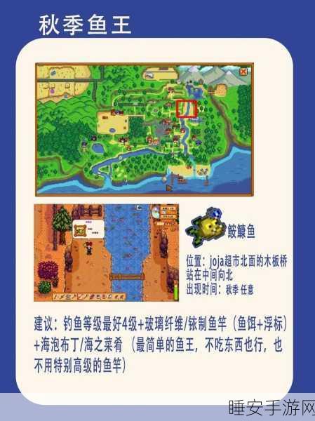 星露谷物语钓鱼攻略,揭秘西鲱鱼的神秘钓点