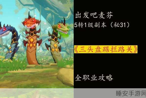 麦芬冒险新挑战，九王角斗场副本深度通关秘籍