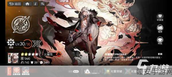 白夜极光，火队阵容顶尖配置与实战搭配策略揭秘