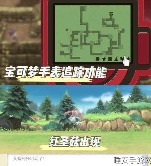 口袋妖怪探秘,解锁神秘精灵的奇幻之旅