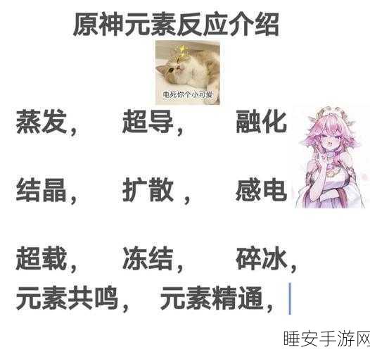 原神元素共鸣深度探索，掌握战斗艺术，突破战斗极限