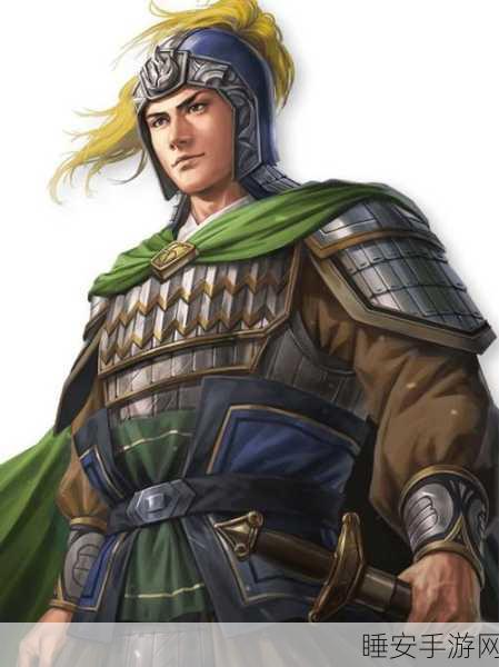 三国志14深度解析,陆逊数据图鉴全揭秘