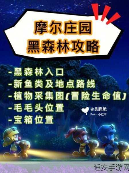摩尔庄园探险揭秘,深入黑森林,挑战未知任务全攻略