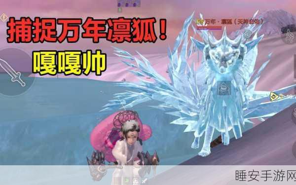 妄想山海，宠物竞速大赛，揭秘坐骑速度之王