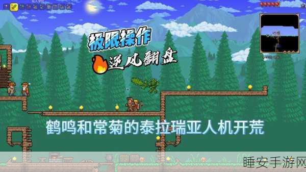 泰拉瑞亚新手福音，战士职业深度解析，超强生存力助你轻松启程