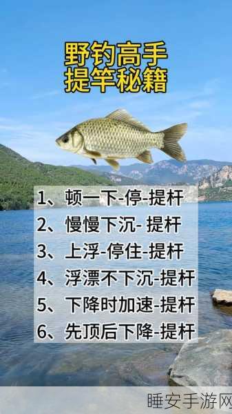 钓鱼大师秘籍，解锁传奇鱼竿与必胜钓技全攻略