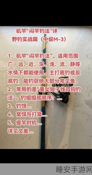 钓鱼大师秘籍,解锁传奇鱼竿与必胜钓技全攻略