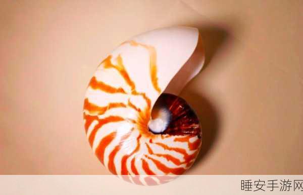 我的世界鹦鹉海螺,解锁神秘功能与用途全揭秘
