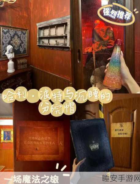 哈利波特与密室手游，深度攻略解锁密室之谜