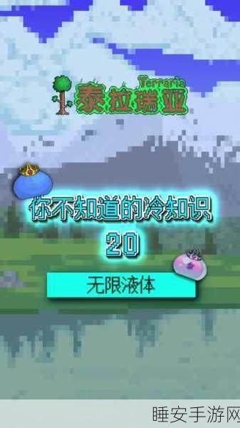 泰拉瑞亚探险秘籍，揭秘蜂蜜瓶的获取方法与奇妙用途