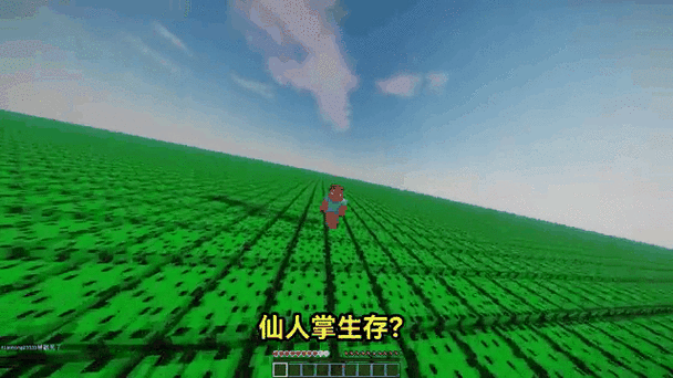 我的世界仙人掌高效采集秘籍,解锁沙漠生存新技巧