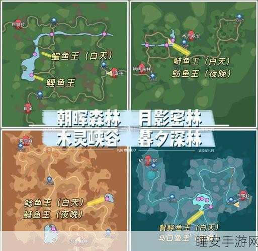 海岛纪元鱼王垂钓攻略，揭秘高效捕捉鱼王的独门秘籍