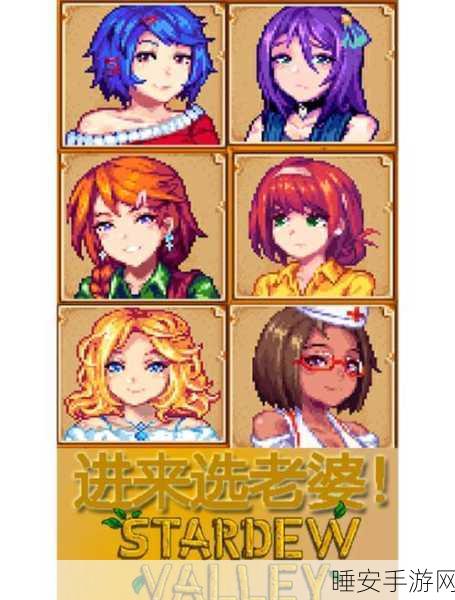 星露谷物语育儿全攻略,打造温馨家庭,迎接新生命