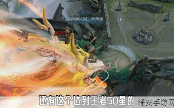 王者荣耀HG战队神秘面纱揭晓，探寻其背后的荣耀之路