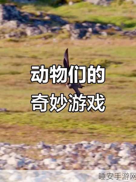 开心消消乐,揭秘特殊动物的奇幻魔法赛,赢取限定大奖!