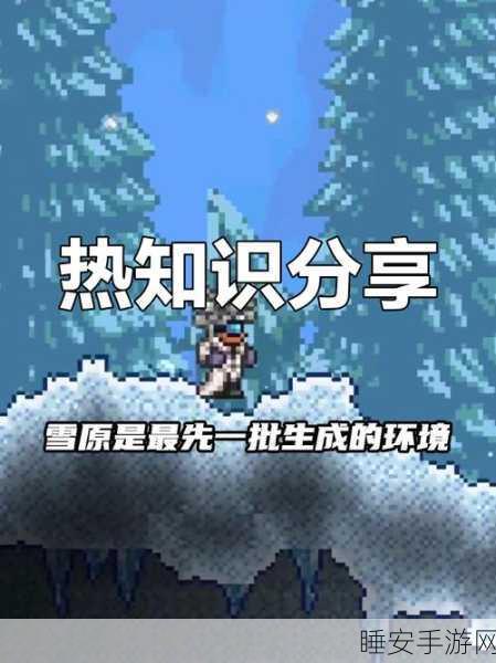 泰拉瑞亚高效攻略，揭秘小雪怪速刷技巧与实战策略