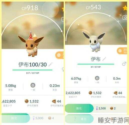 精灵宝可梦剑盾，全面揭秘伊布进化秘籍与独特进化路径